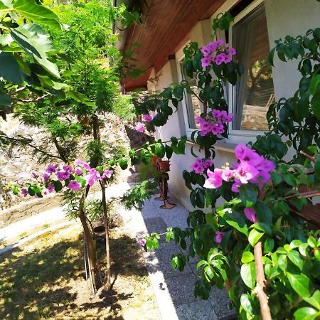 포르토로즈 Lili House 아파트 외부 사진